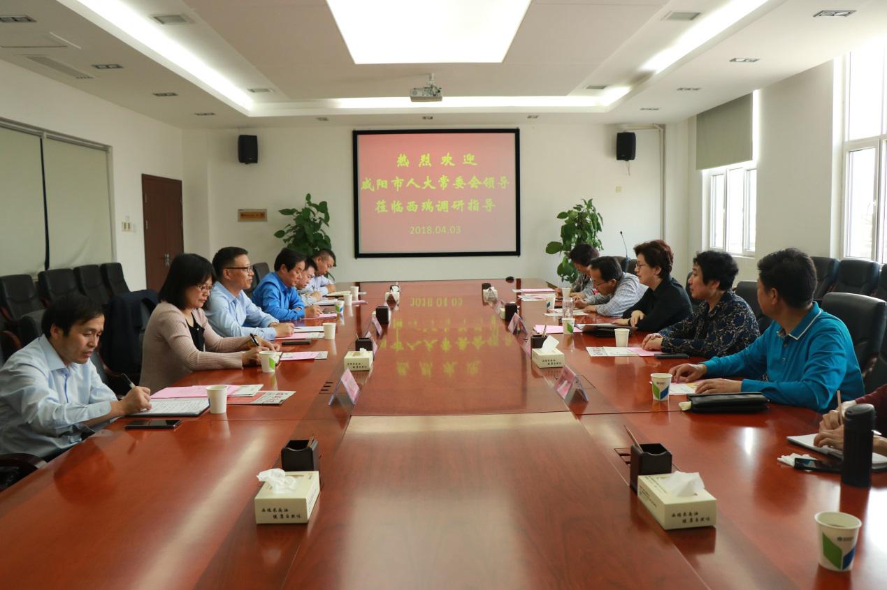 咸陽市人大黨組副書記、副主任肖芳到西瑞集團考察調(diào)研