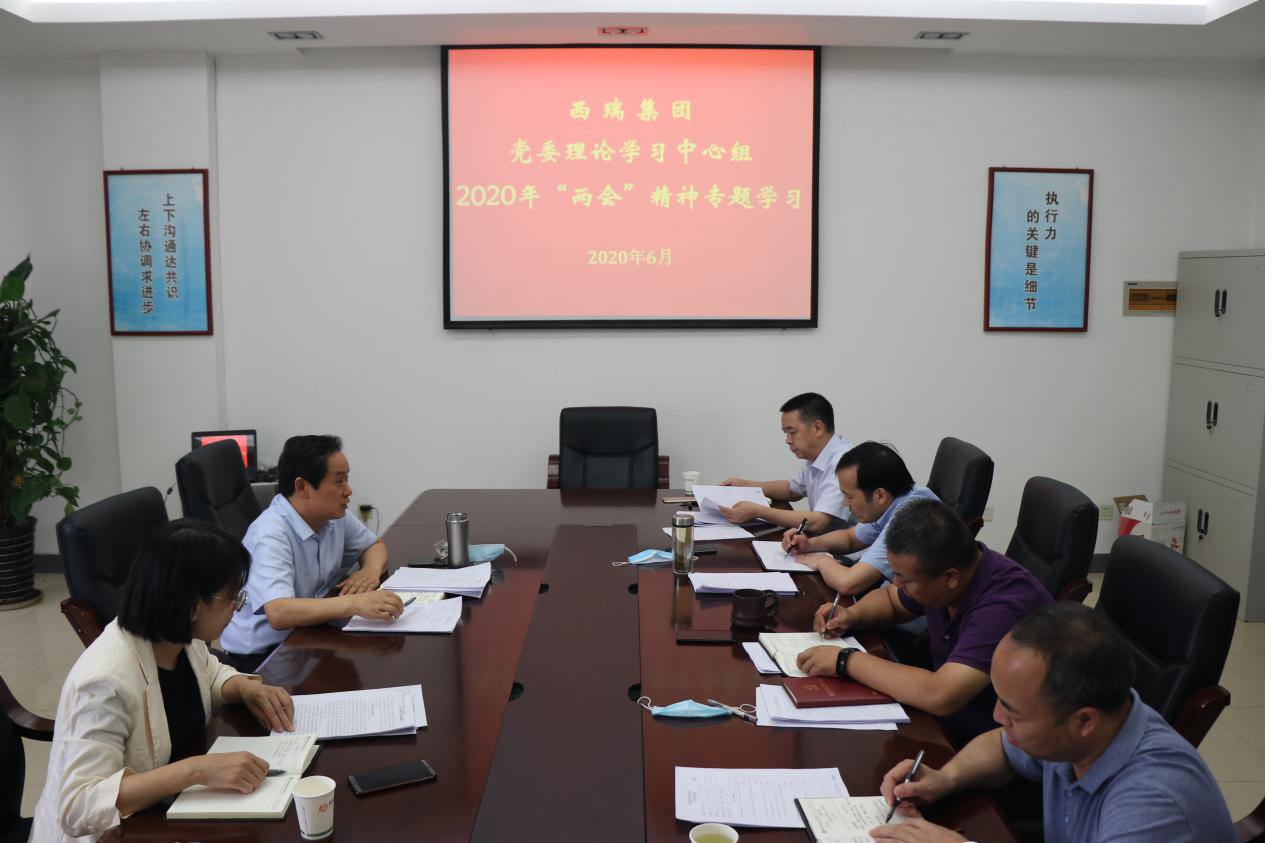 西瑞集團(tuán)黨委理論中心組專題學(xué)習(xí) 2020年全國“兩會(huì)”精神