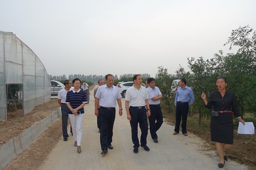 渭南市現代農業(yè)投資發(fā)展有限公司擬到農墾集團朝邑農場投資合作