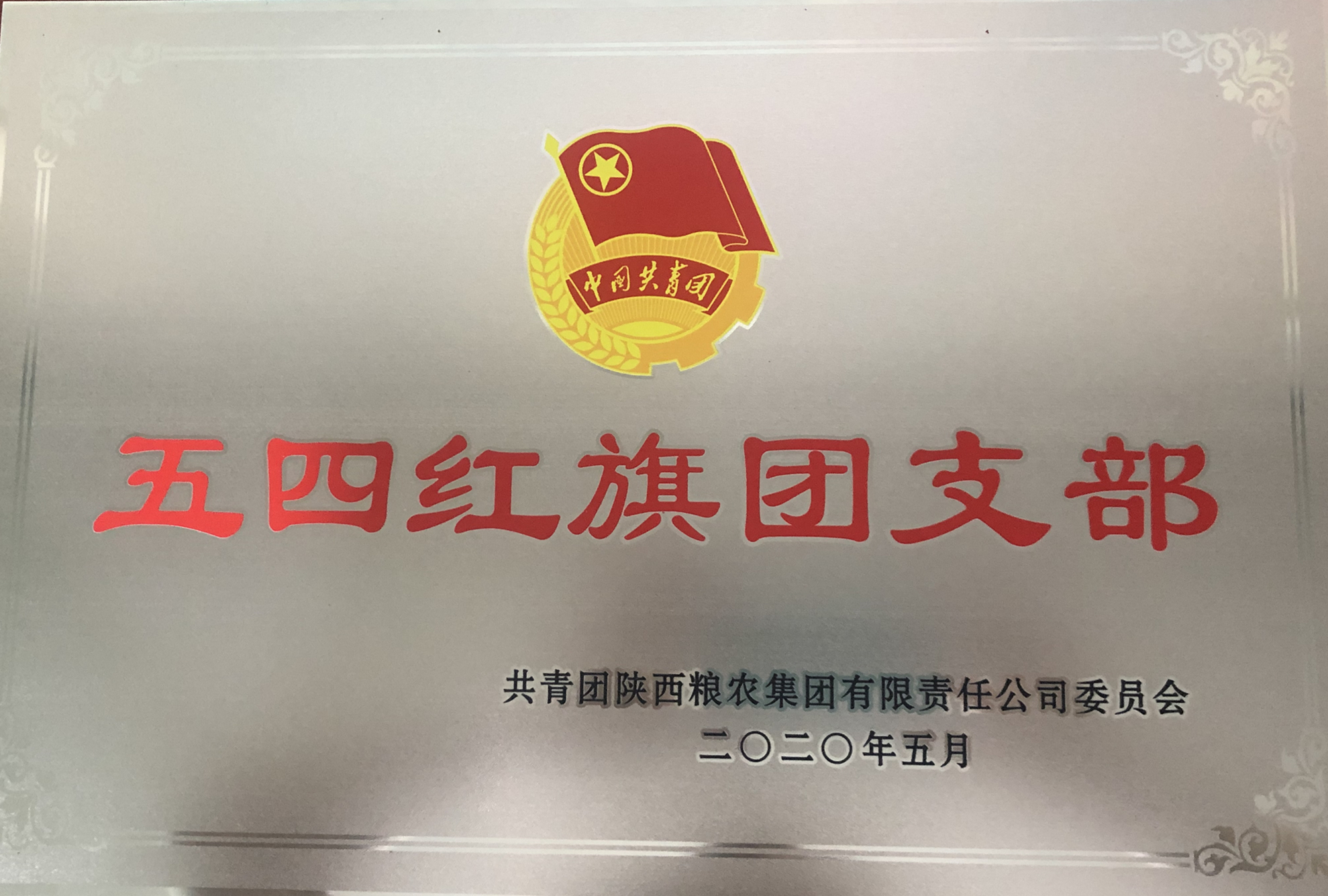 喜報(bào)！五四青年節(jié)，油脂集團(tuán)多位青年喜獲陜西糧農(nóng)集團(tuán)榮譽(yù)！