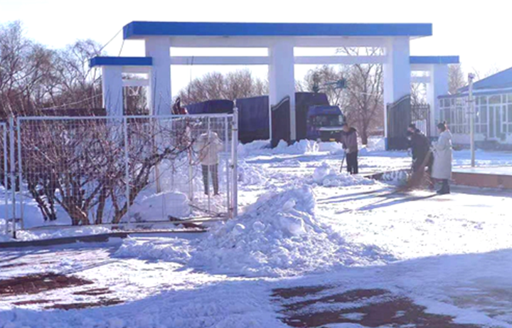 儲備糧管理集團(tuán)：戰(zhàn)嚴(yán)寒、清暴雪 集團(tuán)開魯庫保秋糧入庫